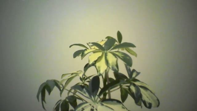 Знакомимся.  Общаемся.