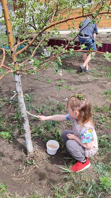 Средство от муравьёв смотреть онлайн