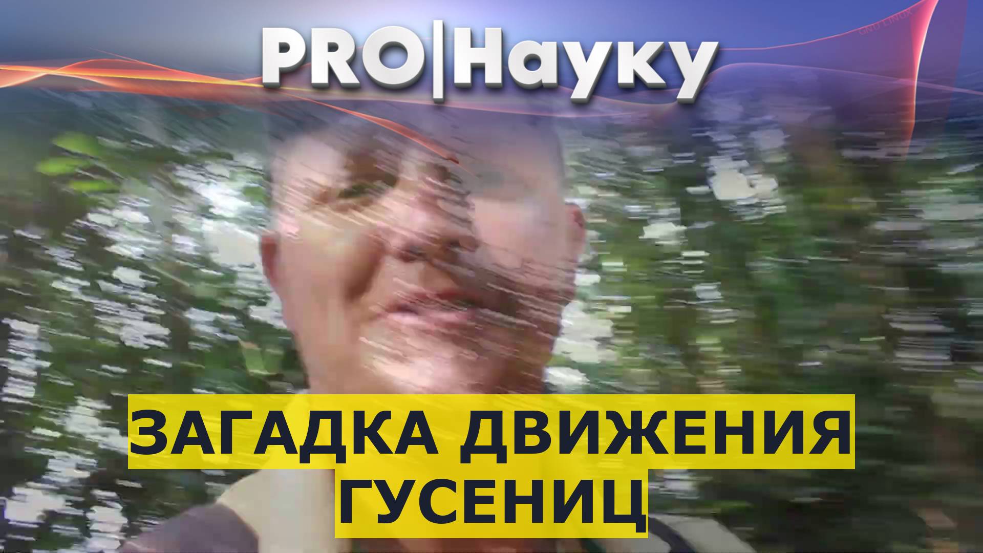 Загадка движения гусениц смотреть онлайн