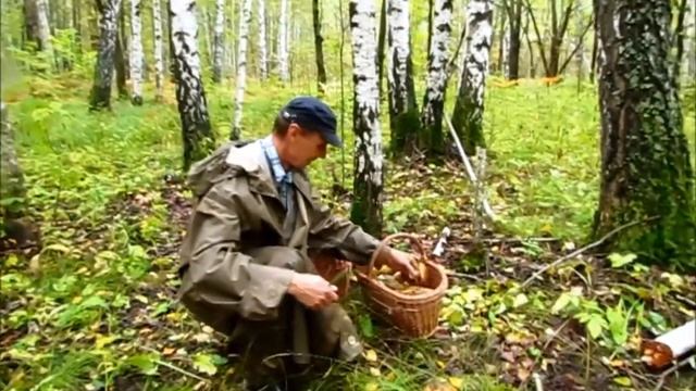 DEAF. Охота за грибами смотреть онлайн