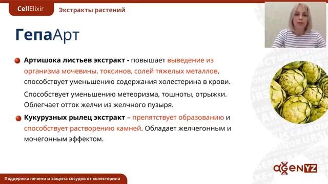 ГапаАрт смотреть онлайн