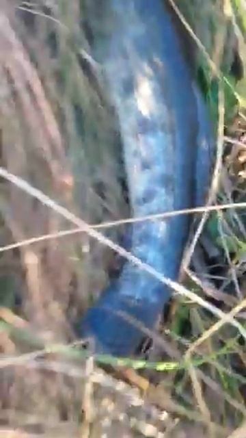 fotos mana 3459 смотреть онлайн