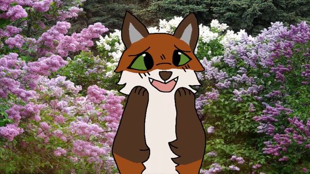 Emotional Animation Meme (Silvia) смотреть онлайн