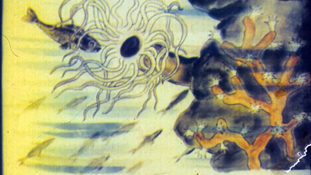 Приключения морского конька смотреть онлайн