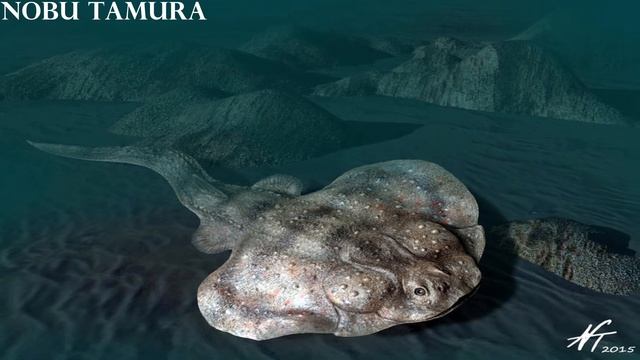 5 Unrelated Prehistoric & Modern Animals That Look the Same (Part 2) смотреть онлайн