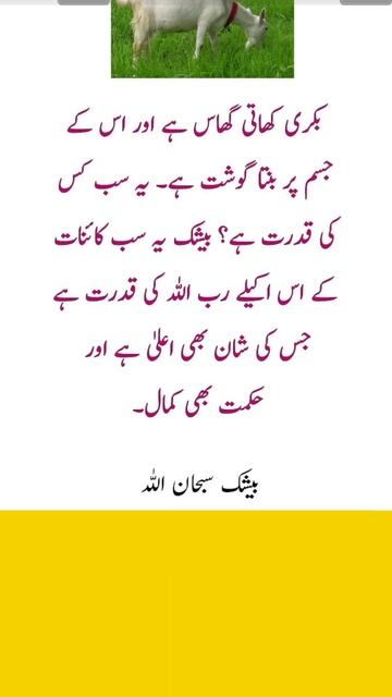 #ytshorts #ytshortsfeature #religion #urduquotes #islamicurdu #newsfeed #ytshortsindia