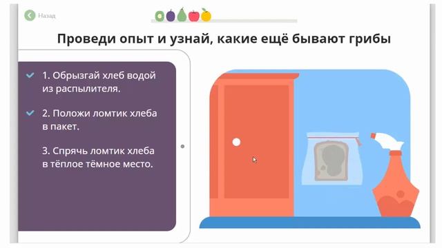Грибы Окружающий мир 2 смотреть онлайн