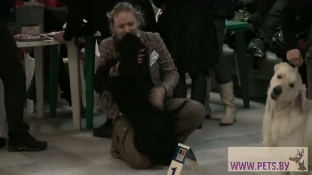 FCI-8.mp4 смотреть онлайн