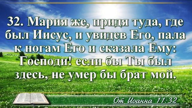 ВидеоБиблия Евангелие от Иоанна с музыкой глава 11 драматизированный перевод смотреть онлайн