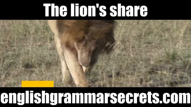 The lion’s share - Business English phrases смотреть онлайн