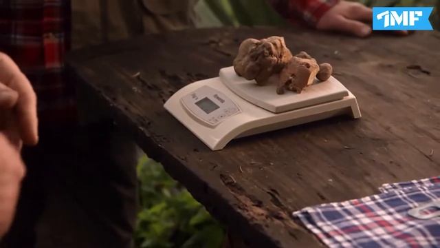 Top 10 MOST EXPENSIVE FOODS IN THE WORLD