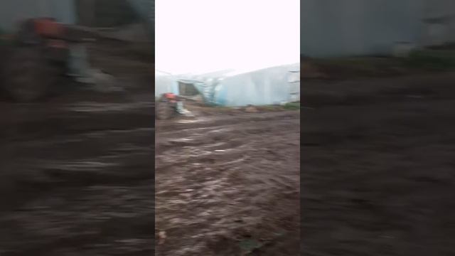 sakarka смотреть онлайн