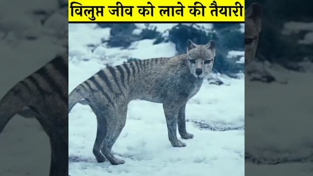 दोबारा जिंदा होंगे ये जीव | Amazing fact (ep-246) #shorts смотреть онлайн