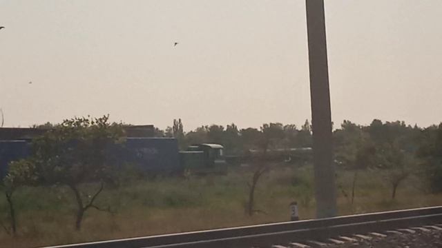 ЖИВОЙ ТГМ1 !!! смотреть онлайн