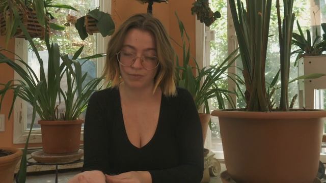 rescuing a ferret named grizzly bear смотреть онлайн