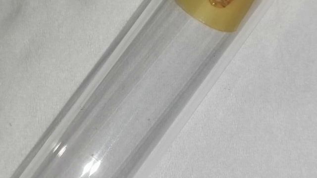 28 สิงหาคม 2564 #มดคัน และมดตัวเล็กที่ผมเลี้ยง смотреть онлайн