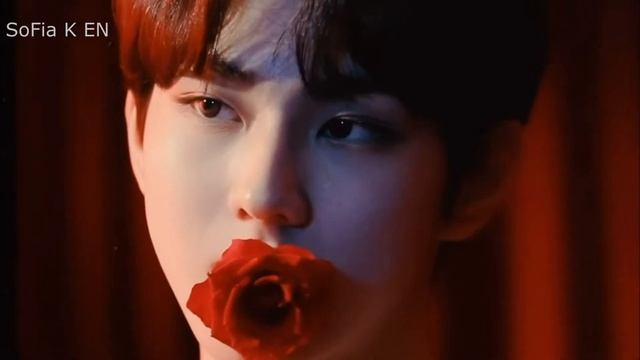 Jungwon ❤ ENHYPEN - beautiful moments [kpop editing clips] FMV смотреть онлайн