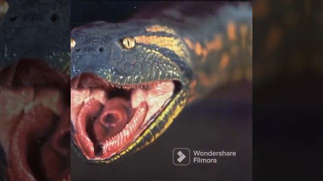 Ophidiophobia : fear of snakes (noire teller) #phobia #creepyfacts #scaryfacts #terrors смотреть онлайн