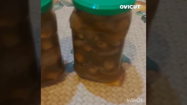 Маринованные грибы #mushroom