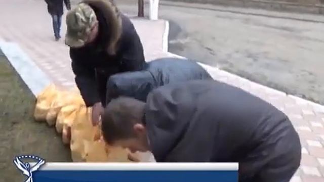 Студенческие Новости  Выпуск 11