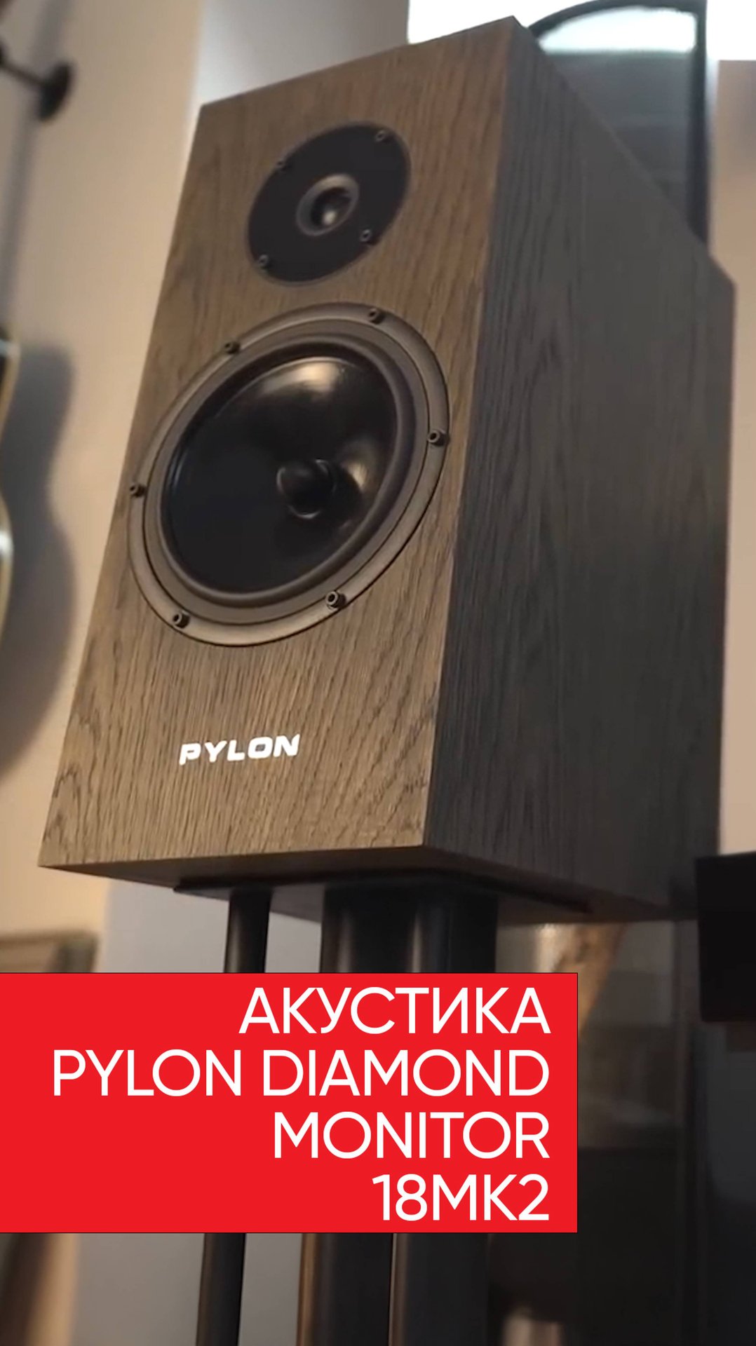 Pylon Diamond Monitor 18mk2 смотреть онлайн