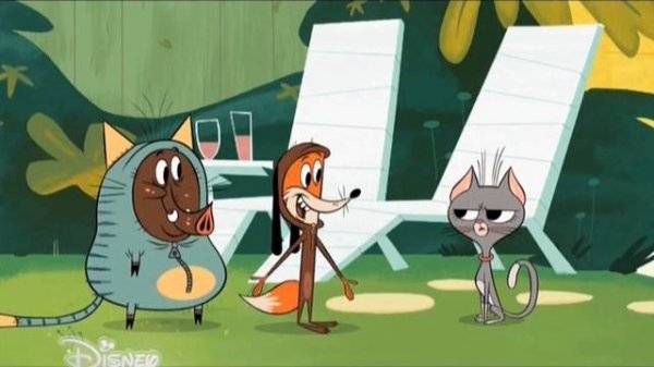 Зип Зип 30  Выставочный пёс