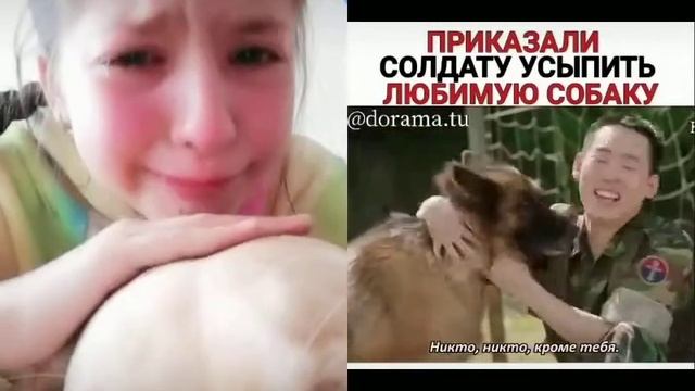 Приказами сад дату У выпить сабау смотреть онлайн