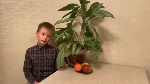 Лопатичев Всеволод, 9 лет. "Вот уж вечер. Роса" смотреть онлайн