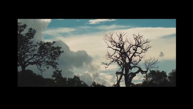 Quem é Brasil?, confira a abertura смотреть онлайн
