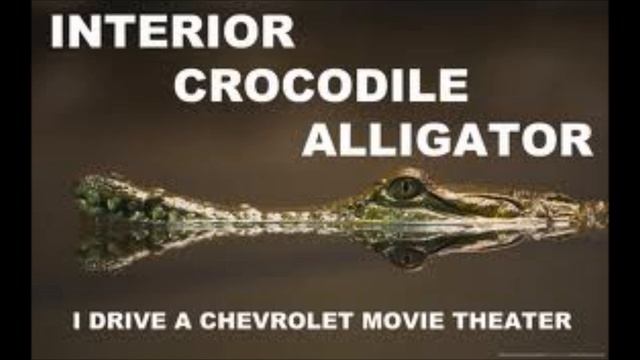 Interior Crocodile Alligator 1 Hour Loop Challenge смотреть онлайн