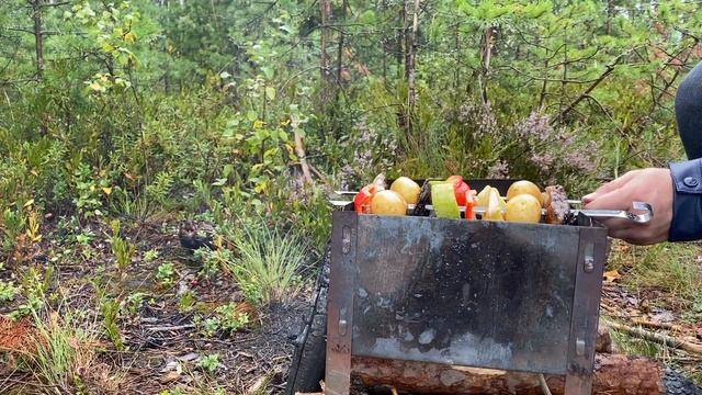 Porcini mushroom picking | mushroom barbecue on a campfire during the rain смотреть онлайн