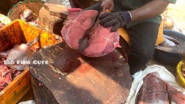 50 KG Big 😱 Yellowfin Tuna Fish🔥| Big Fish Cutting 🔪#bigfishcutting #fish #tunafish