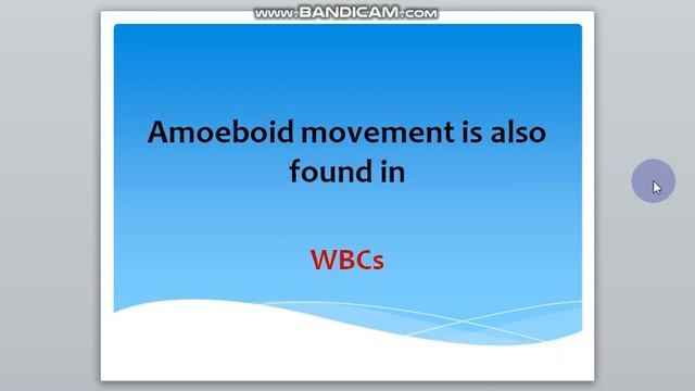 MCQS For Biology In Ppsc,fpsc And Nts Exam