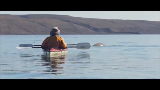 The Stunning Arctic Watch Wilderness Lodge | ExpeditionTrips смотреть онлайн