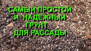 Грунт для рассады - просто и надёжно.