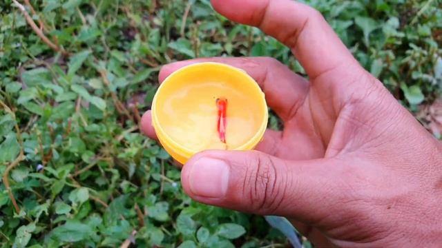 Amazing Catch Tiny Ornamental Pufferfish, Turtles, Ornamental Fish, Koi, Striped Fish, Angelfish смотреть онлайн