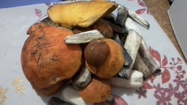 Грибочки! смотреть онлайн