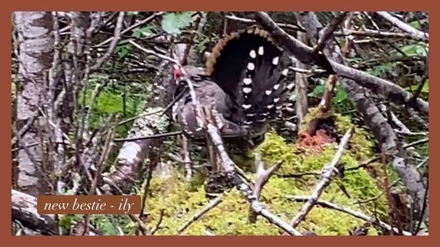 Dye Shop & Chill | Small Scouring Day | Natural Dye Vlog