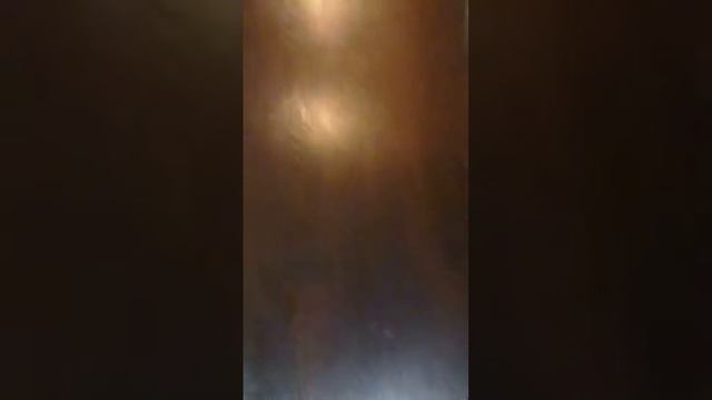 Издеваемся над собакой🐶 смотреть онлайн