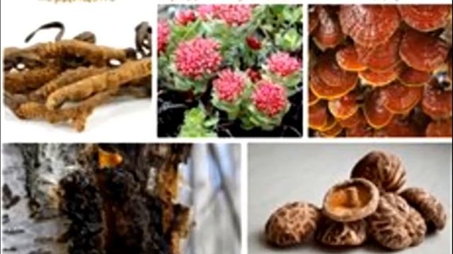 Elev8#коротко о продукте#мощь в одной капсуле Elev8 смотреть онлайн