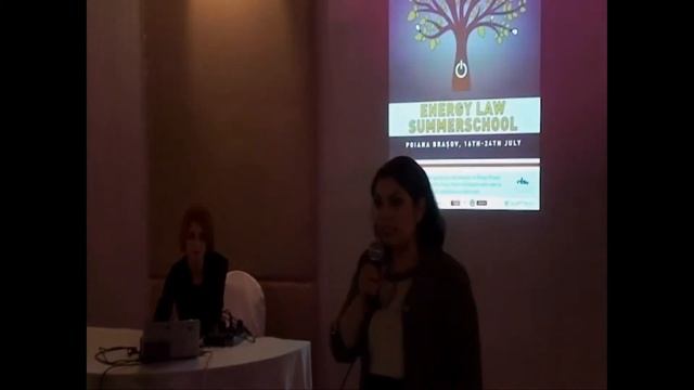 ISLS Presentation at the EMC2 Sponsor's Dinner смотреть онлайн