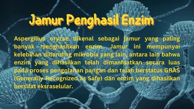 【Mikrobiologi Industri】Aspergillus Oryzae