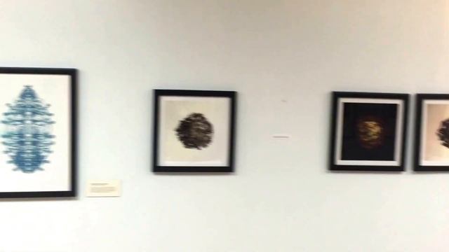 The Nature of Cordyceps walk through смотреть онлайн