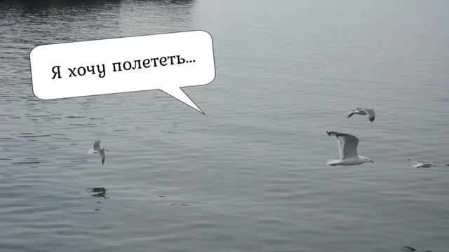 Клип родителям на рубиновую годовщину свадьбы
