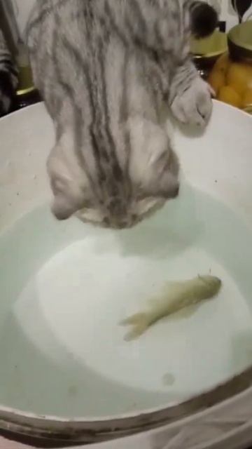 ооо нормально )))))))) смотреть онлайн