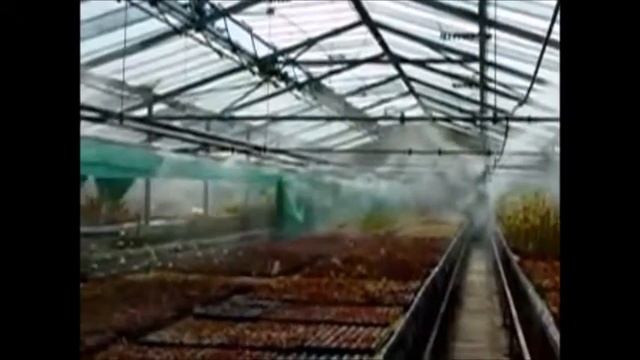 Увлажение растений смотреть онлайн