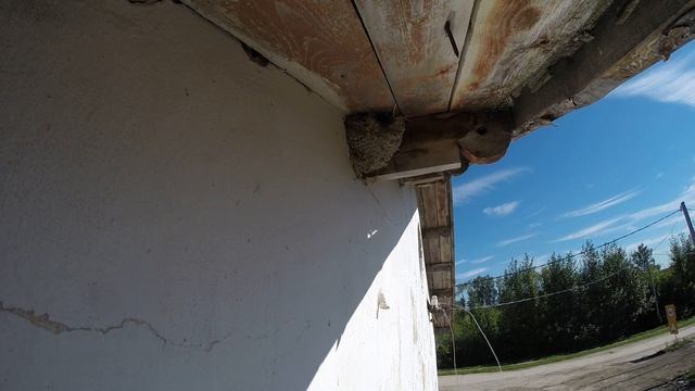 Воробей домовый 150730 2 Магазин 150802 2 смотреть онлайн