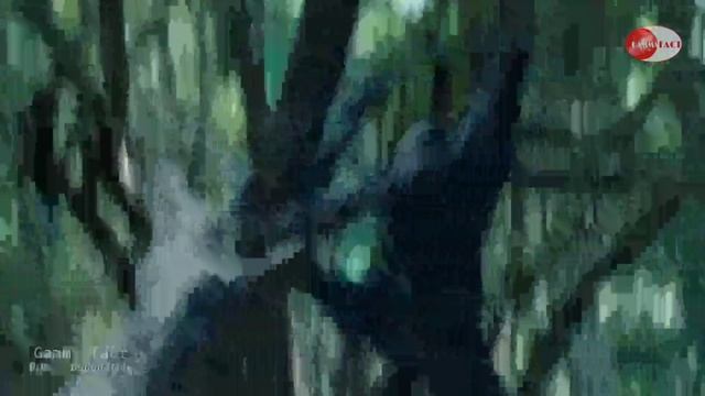 King Kong Vs Indominus Rex (Powerful Hybrid Dinosaur) - Kaun jitega ye battle смотреть онлайн