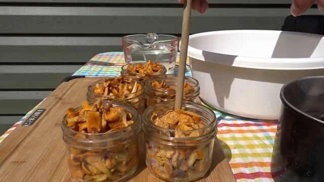 Canning Chanterelle Mushrooms | How To Pressure Can Wild Mushrooms | Preserving Wild Mushrooms смотреть онлайн