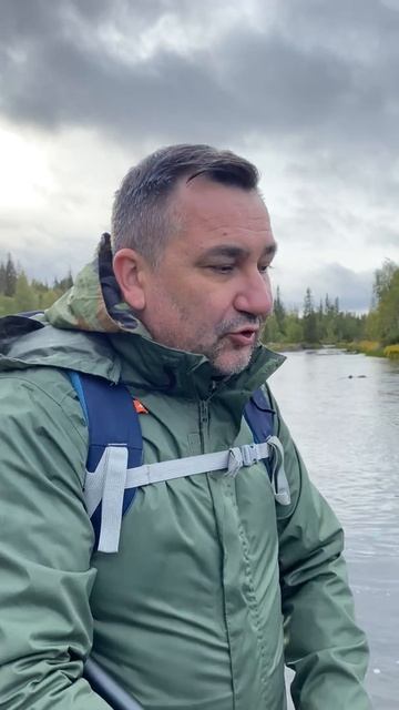 Что медведи думают о людях смотреть онлайн